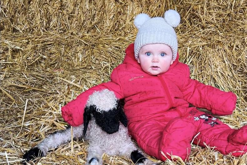 Country vibes... a few of our favourite things