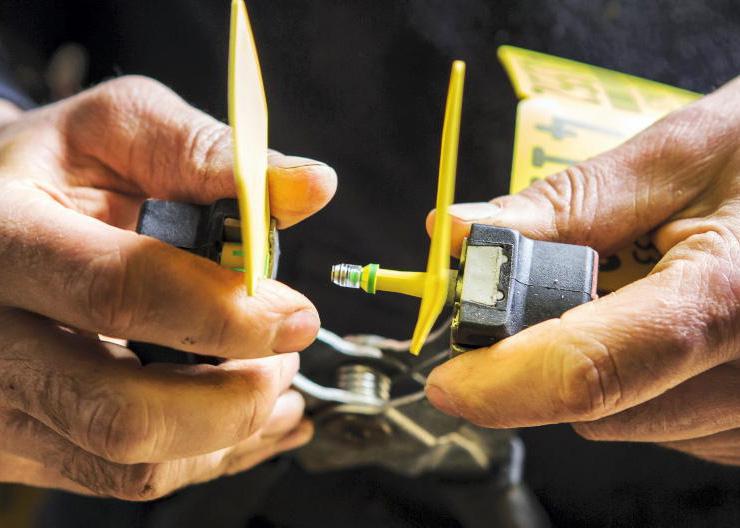 New NI movement restrictions on 1 February