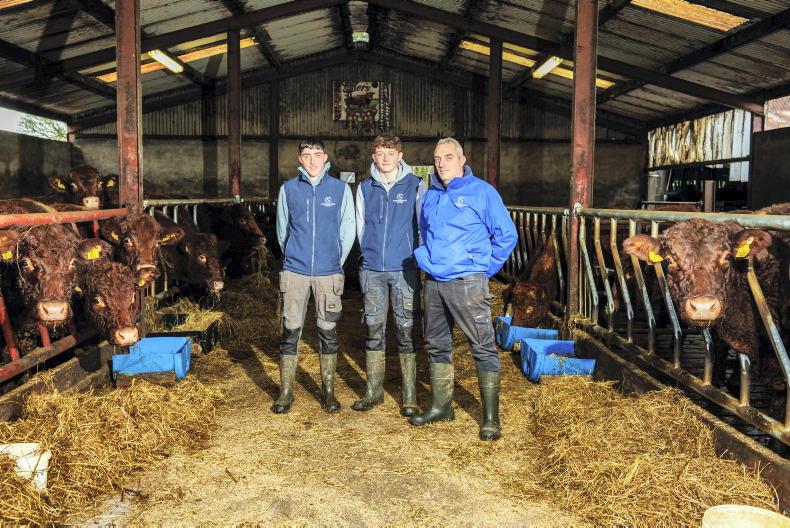 My Farming Week: David Kirrane, Carrontubber, Tubbercurry, Co Sligo
