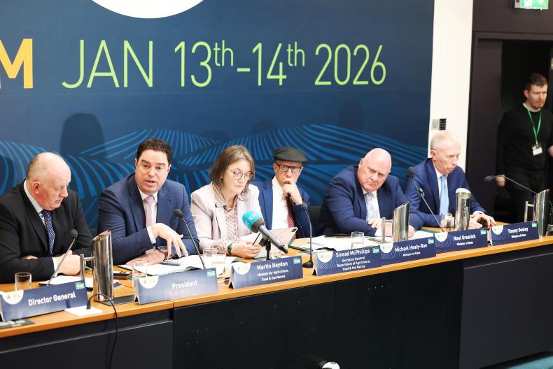 Mercosur dominates Minister's IFA appearance