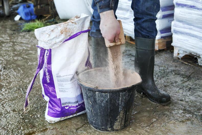 Dairy Management: dealing with milk fever and getting ready for early nitrogen