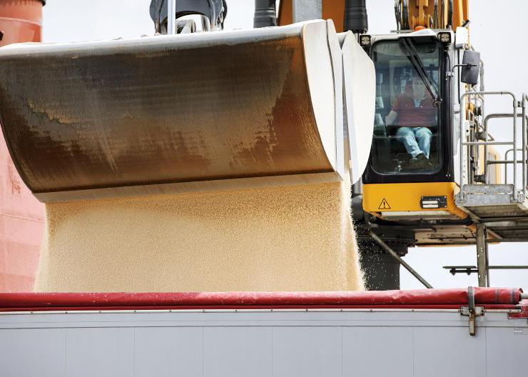 EU cut to fertiliser tariffs of 'limited' impact to Ireland