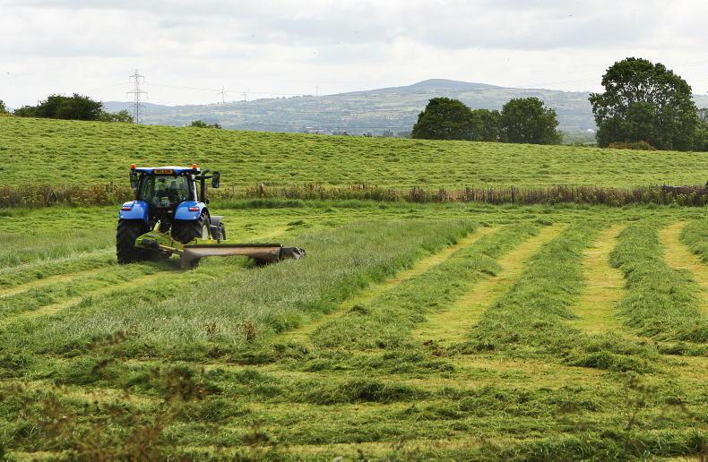 Antrim: land market jumps by £1,000/ac