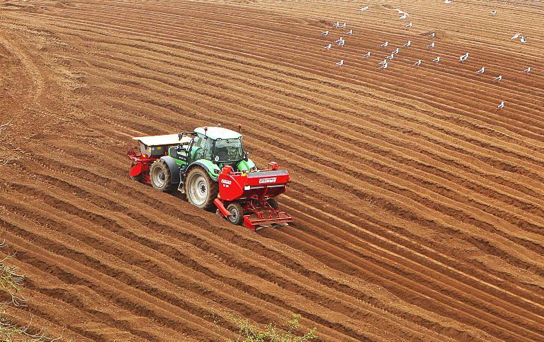 Co Down: area of land for sale falls by 40%