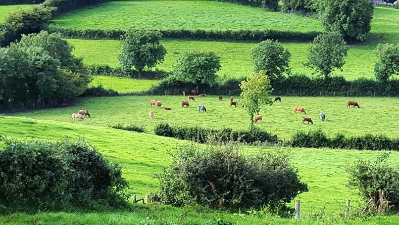 Fermanagh: land price passes £10,000/ac mark