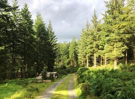€23.5m in annual forestry premium payments begin issuing