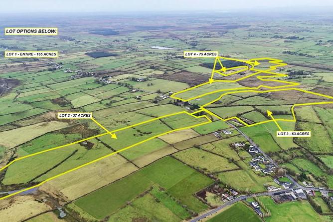 Rare leasing opportunity for 165ac in Roscommon        