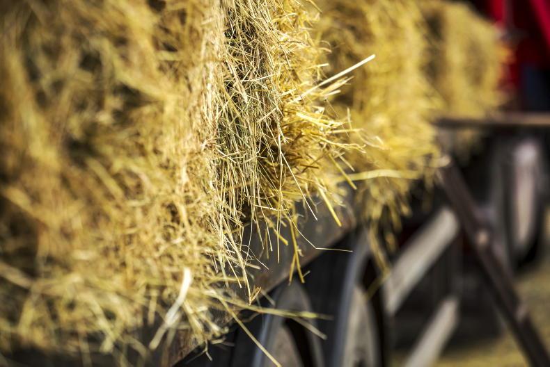 Action needed 'quickly' to stop straw imports