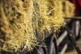 Action needed 'quickly' to stop straw imports