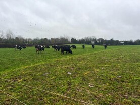 Planning time for spring grazing 