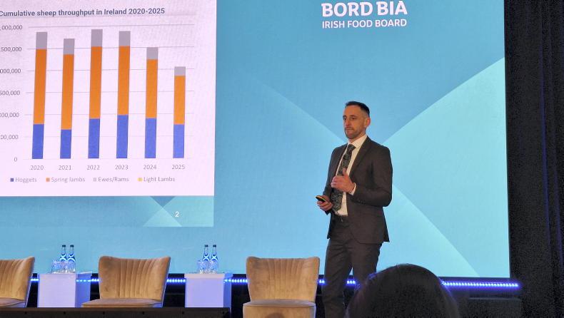 Stabilisation in ewe flock and sheepmeat production forecast for 2026