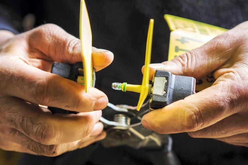 Plans for BVD freedom under way