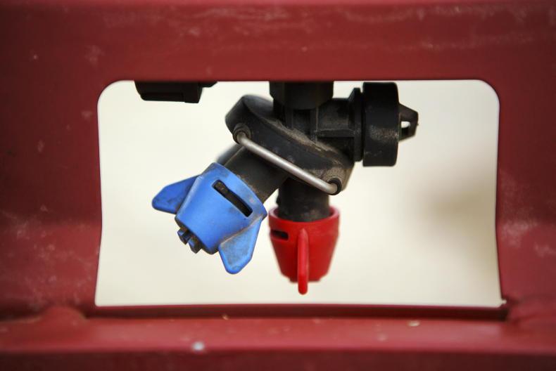 Rye brome confirmed as first ALS-resistant species in Ireland 