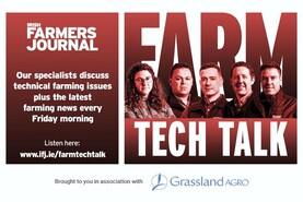 Farm Tech Talk: beef trade, sheep numbers and milk markets