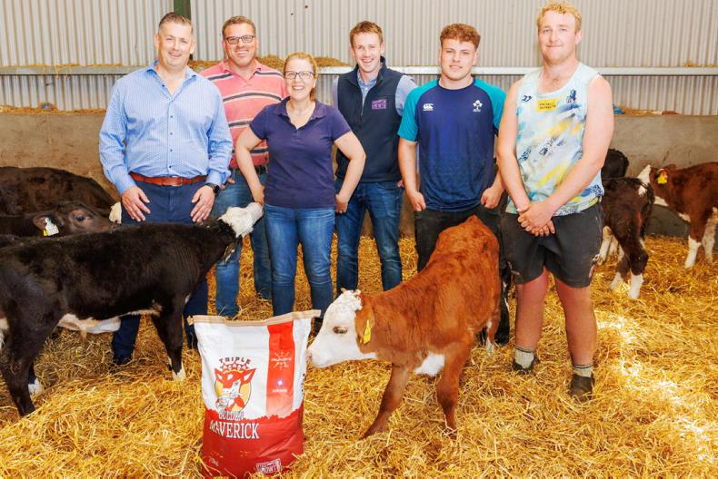 Consistency and calf health key to Offaly farmer’s success