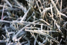 Weekend weather: frost and fog on the way