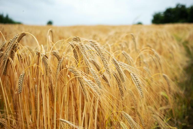 Tillage won't be a major player in the land market