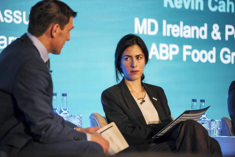 Watch: how Europe is still dealing with green deal hangover