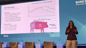 Poultry supplies struggling to keep up with demand