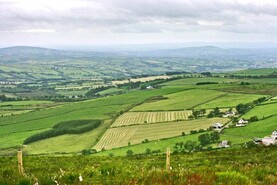 Land prices push on in Northern Ireland