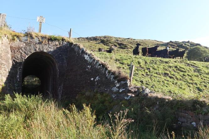 Over €60m in funding for greenways in 2026