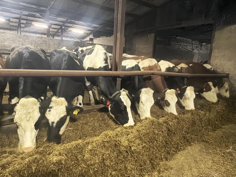 Lots of milk can create a challenge