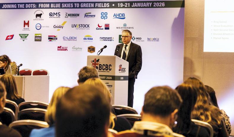 Listen: 'More information needed on mart boards on animals at UK cattle sales'