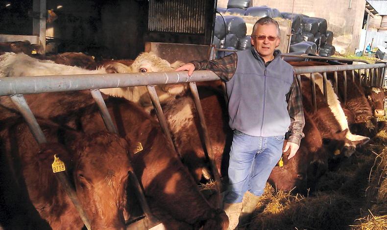 ‘Shorthorn never got a chance to be good cattle in good times, now they do’