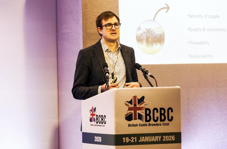 UK breeding conference: real concern for future of UK suckler cow