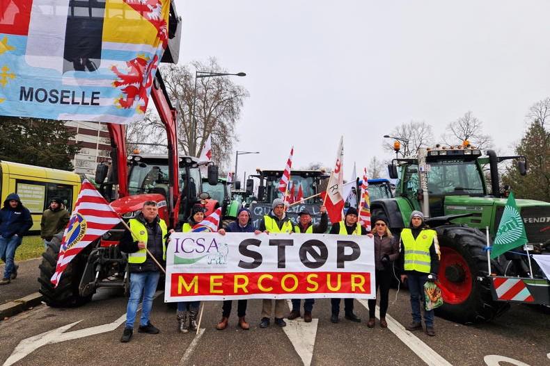 Farmers take anti-Mercosur fight to MEPs on the streets in Strasbourg
