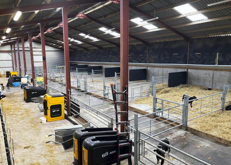 Facilities and teamwork lead to successful calf rearing 