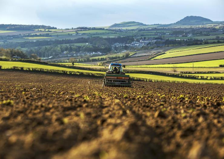 Laois growers ‘left high and dry’ by loss of malting barley contracts for 2026