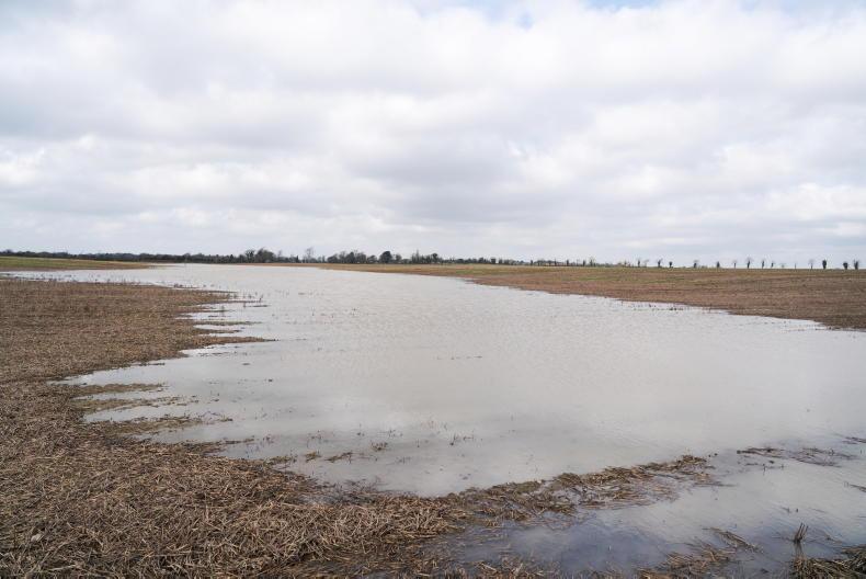 Tillage Management: wet weather, varieties and calculating carbon