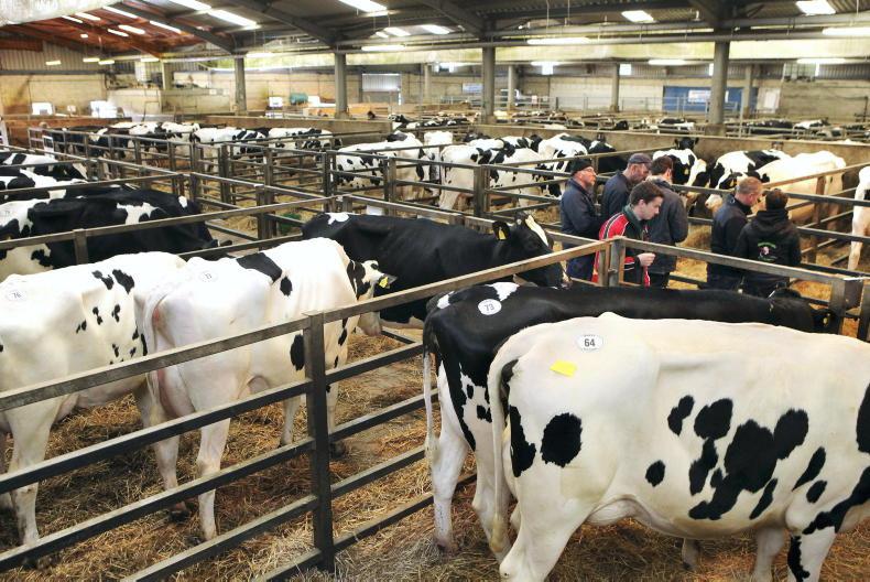 Northern Ireland diary of events