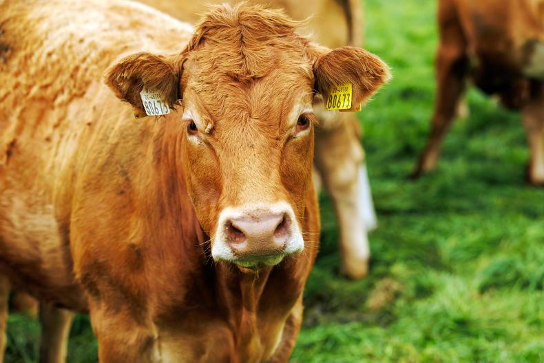 Department appears frosty to €3,000 for small farmers