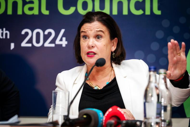 Mary Lou McDonald writes to Taoiseach seeking Bord Bia chair’s resignation