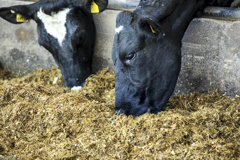 Tirlán to hold NI milk price to March