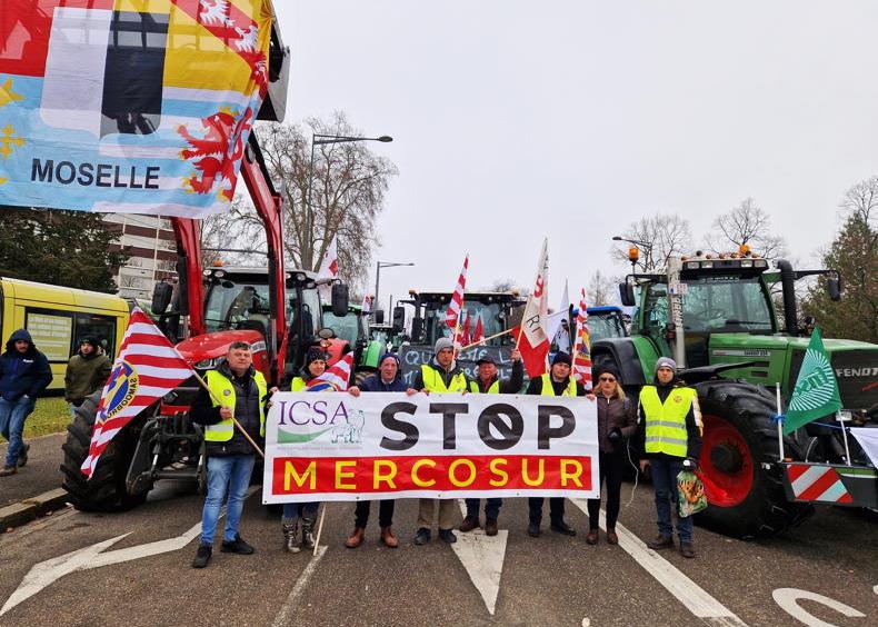 Mercosur trade deal referred to EU court