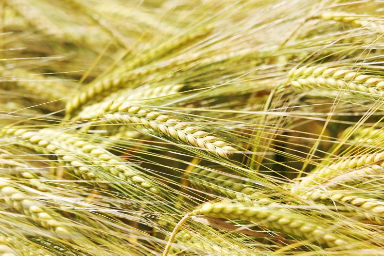 Editorial:  tillage – pressure mounts