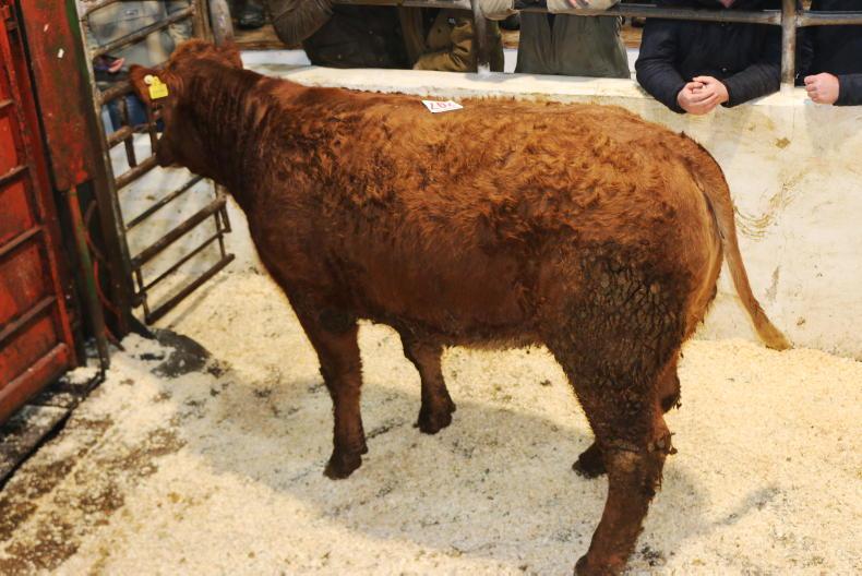 Martbids Database: numbers and prices rise across the board