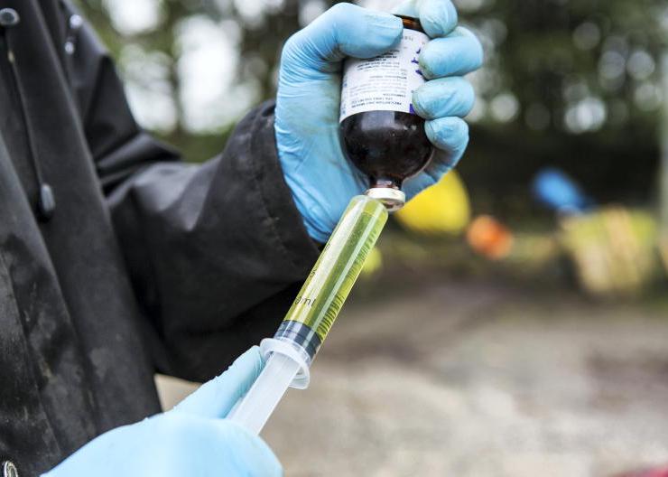 Intro: Bluetongue on the mind of many this spring