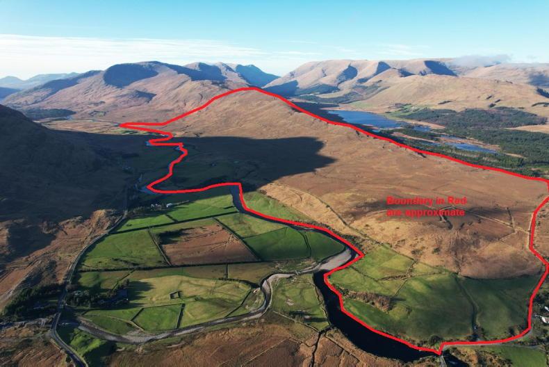 In pictures: former Teagasc hill sheep demonstration farm on the market