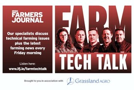 Farm Tech Talk: Bord Bia, sheep prices and pre-calving check list