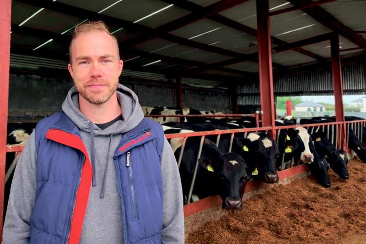 Supporting udder health and comfort in early lactation