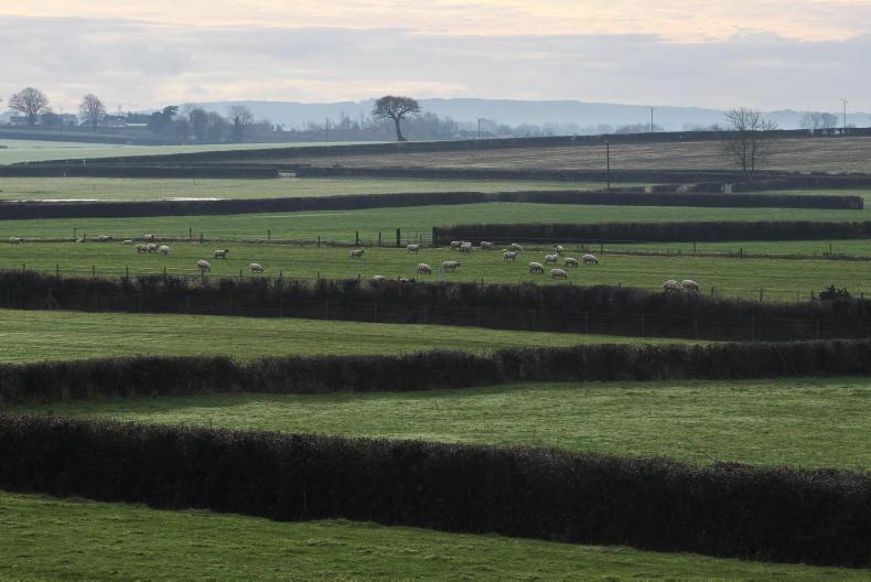 IFA calls for reversal of amended eco-scheme calculations