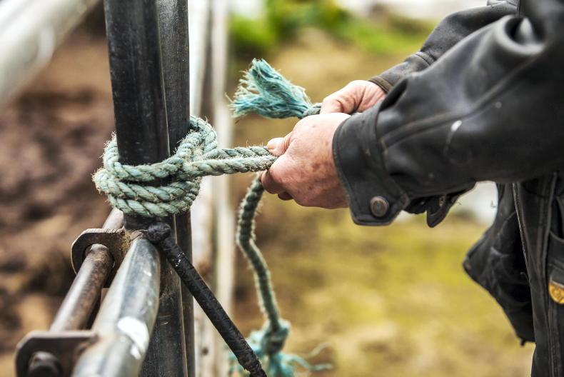 Minister urges caution on land leases as the end looms for entitlements