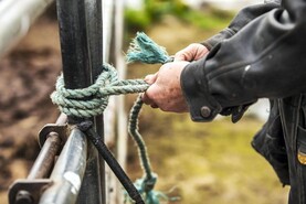 Minister urges caution on land leases as the end looms for entitlements