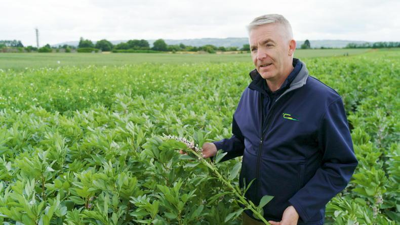 Gene-editing, new genomic techniques - what, why and how they are different?