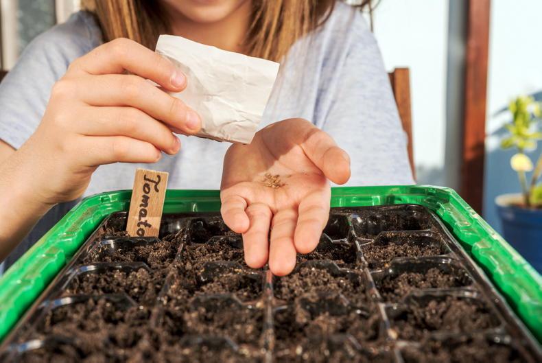 Gardening with Kitty: sowing the seeds for springtime