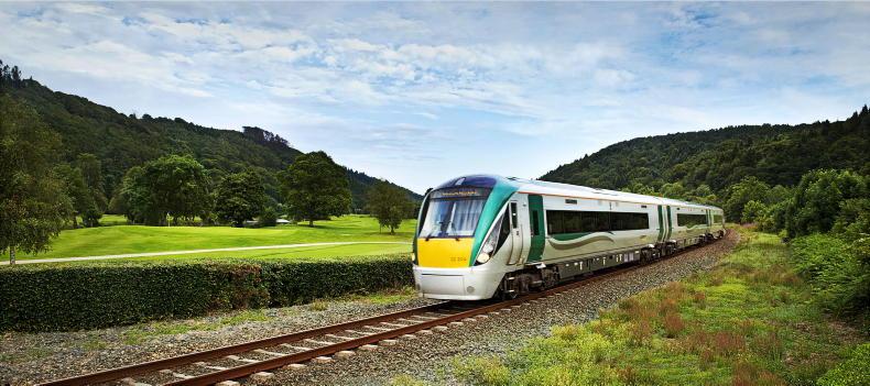 Number of collisions between deer and trains on the rise